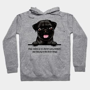 Dogs remind us to cherish every moment  and find joy in the little things Hoodie